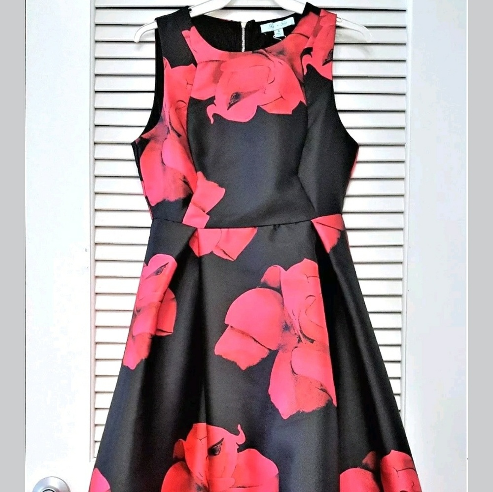 She & Sky Red and Navy NWT Flared Dress